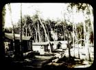 Cabins in the Woods
